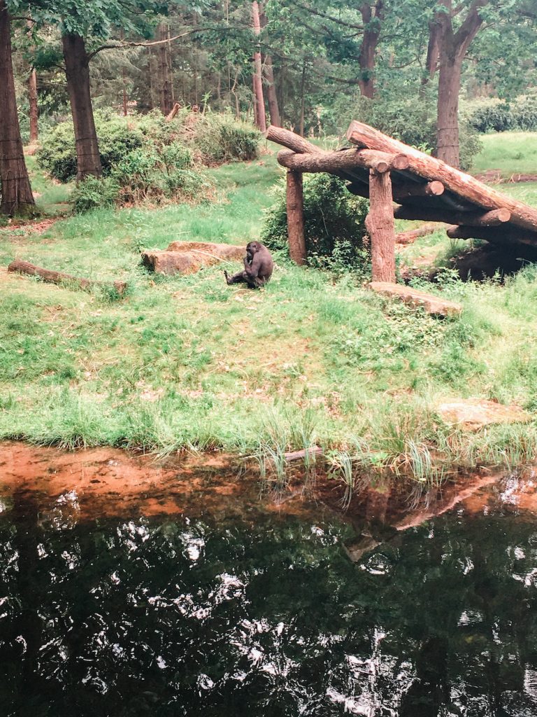 Wat te doen in apeldoorn met kind