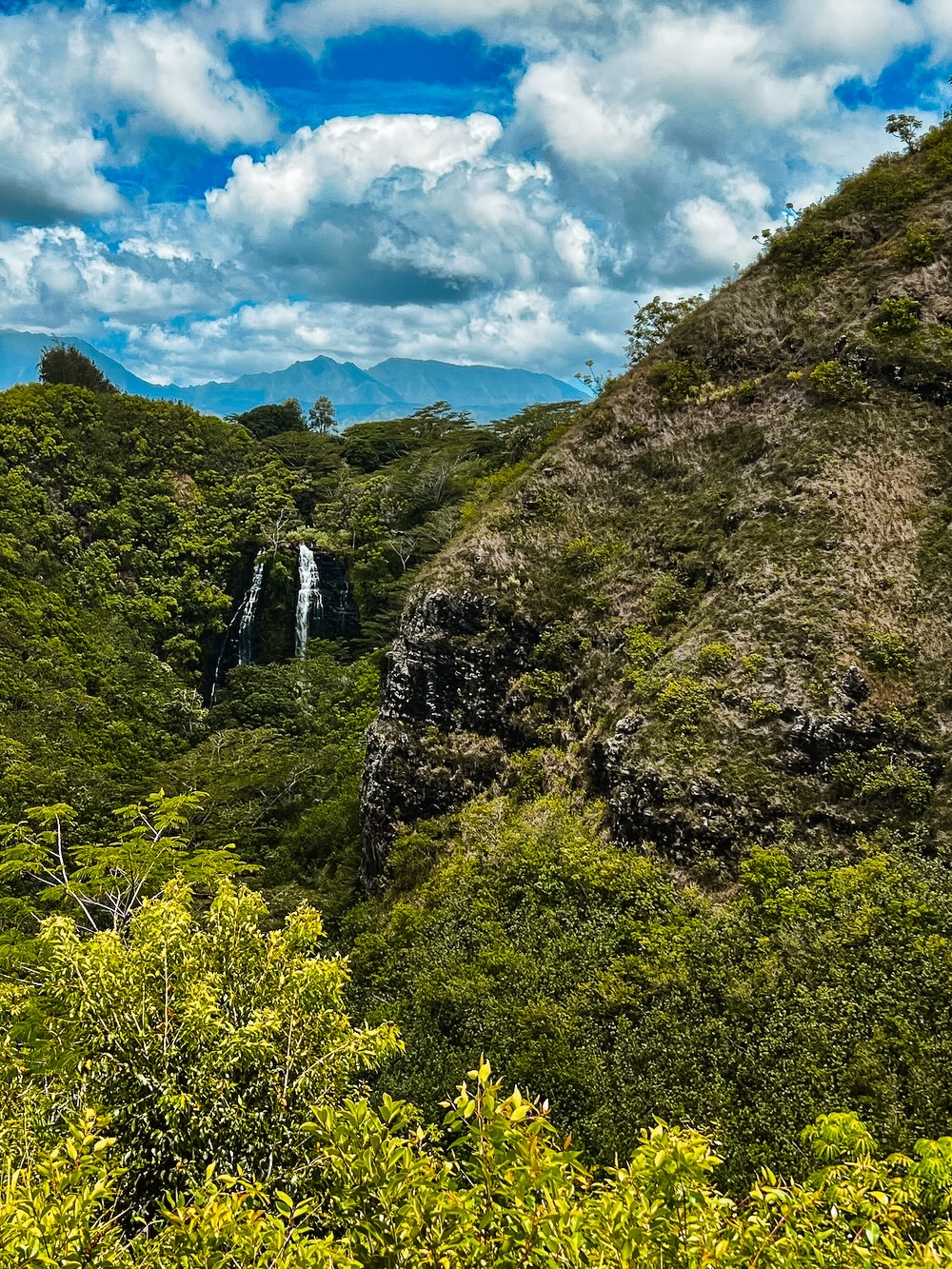 Waterval viewpoint, Koloa forest trail