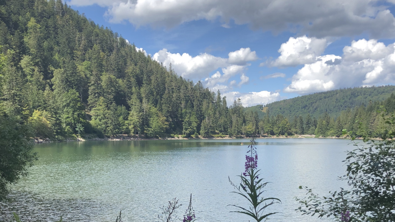 WeAreTravellers, bezienswaardigheden Vogezen, Lac des Corbeaux