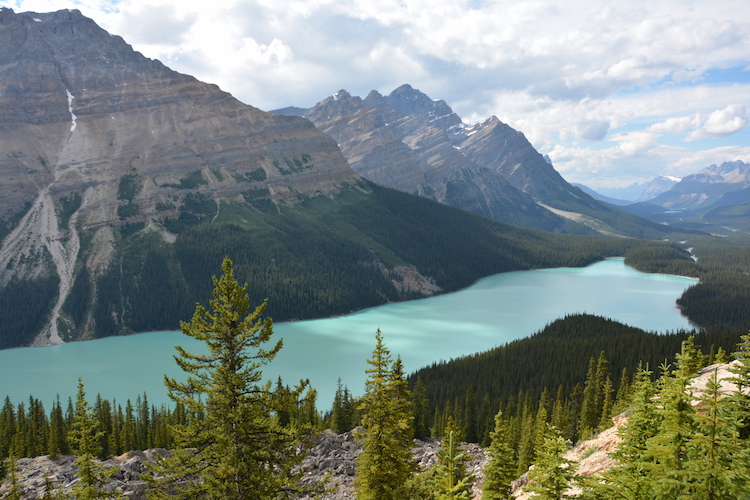 West Canada rondreis Peyto lake