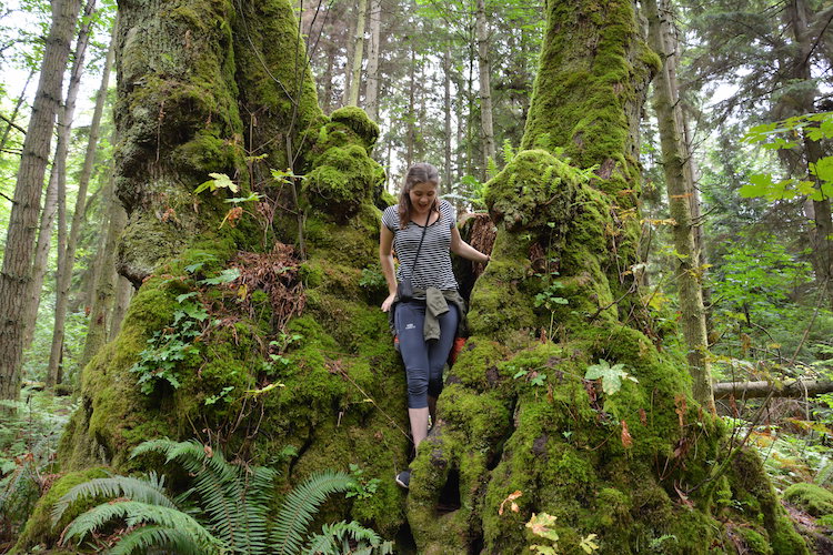 West Canada rondreis Vancouver natuur