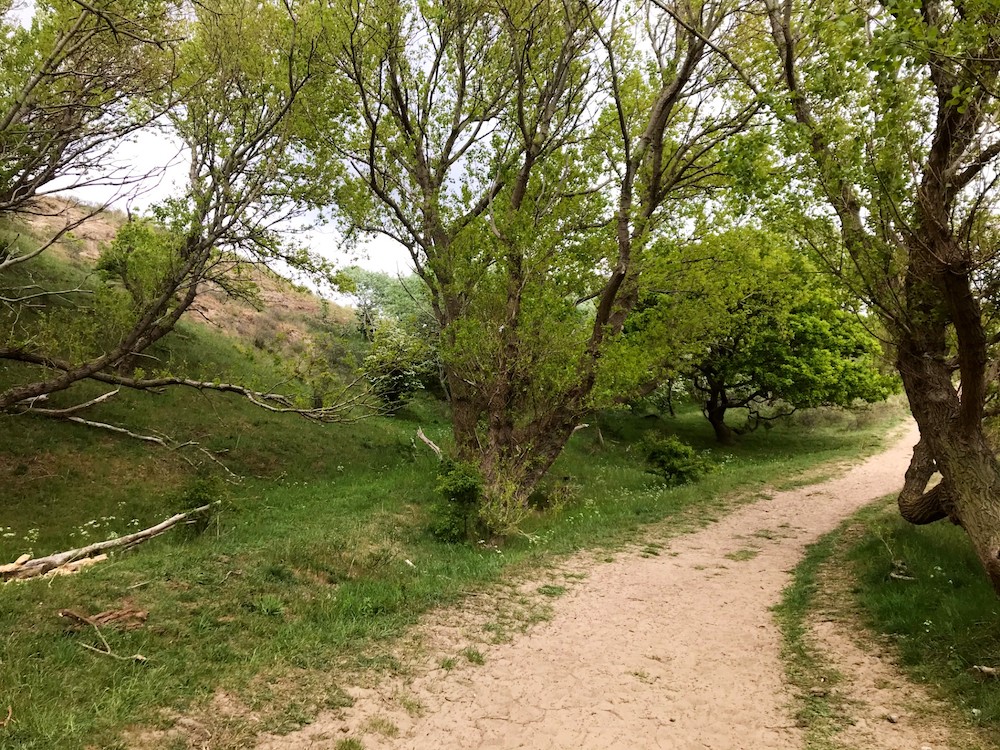 Wijk aan Zee wandelingen