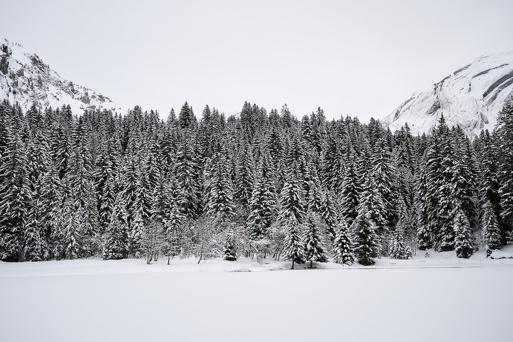 Wintersport Franse Alpen, Cross-country skiën