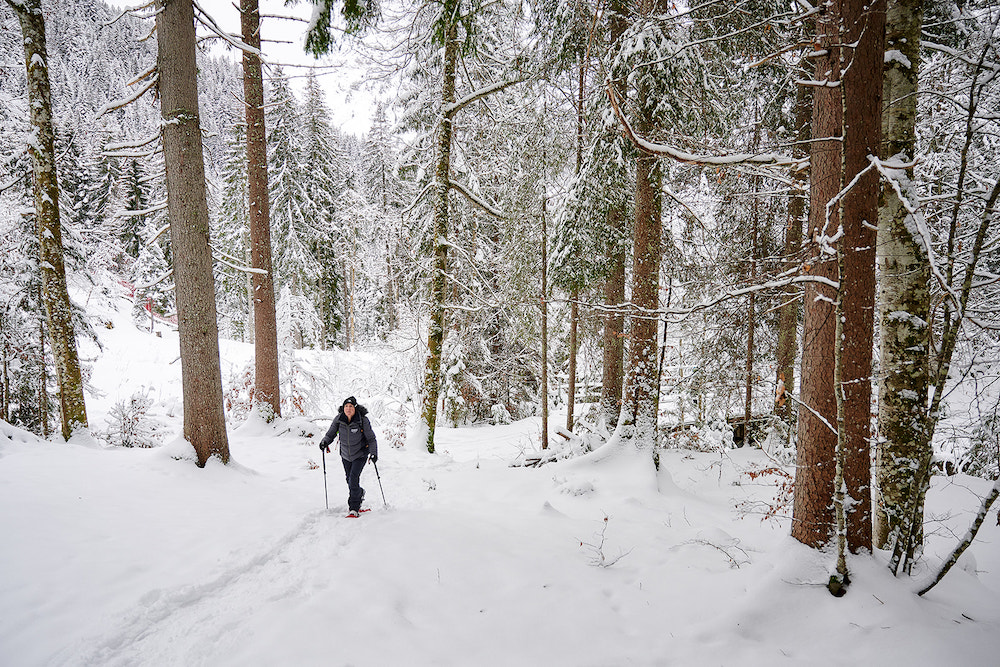 Wintersport Franse Alpen, Portes du Soleil