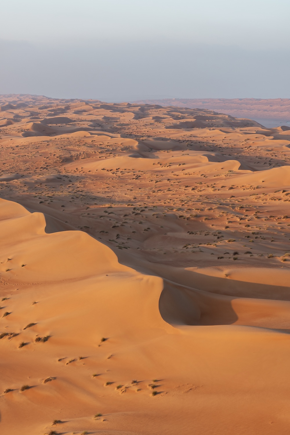 Woestijn Wahiba Sands, Oman