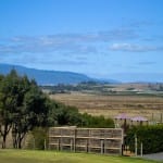 Yarra valley