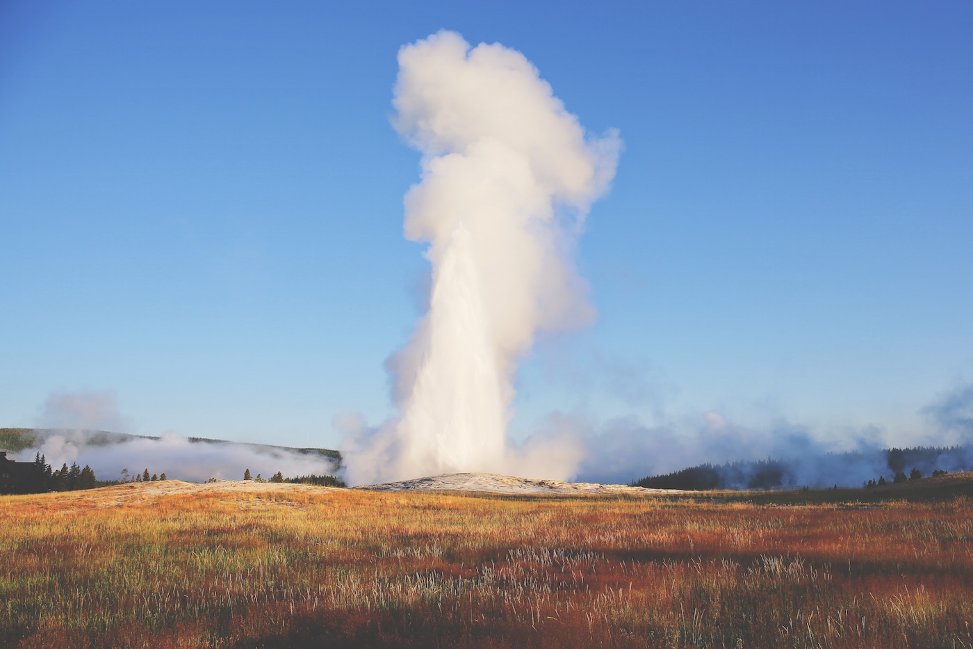 Yellowstone national park in amerika