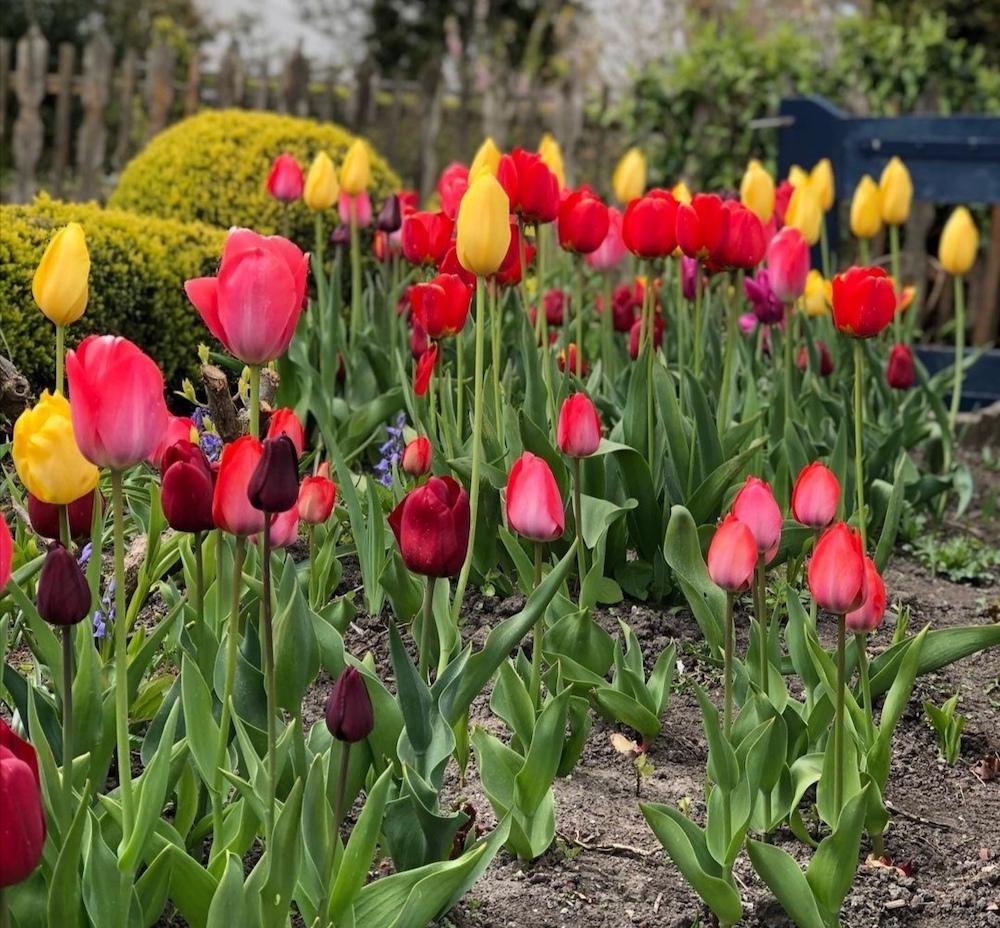 Yerseke bezienswaardigheden, Pluktuin