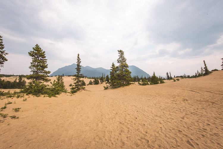 Yukon Canada kleinste woestijn ter wereld