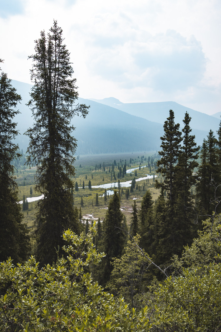 Yukon South Canol Road_