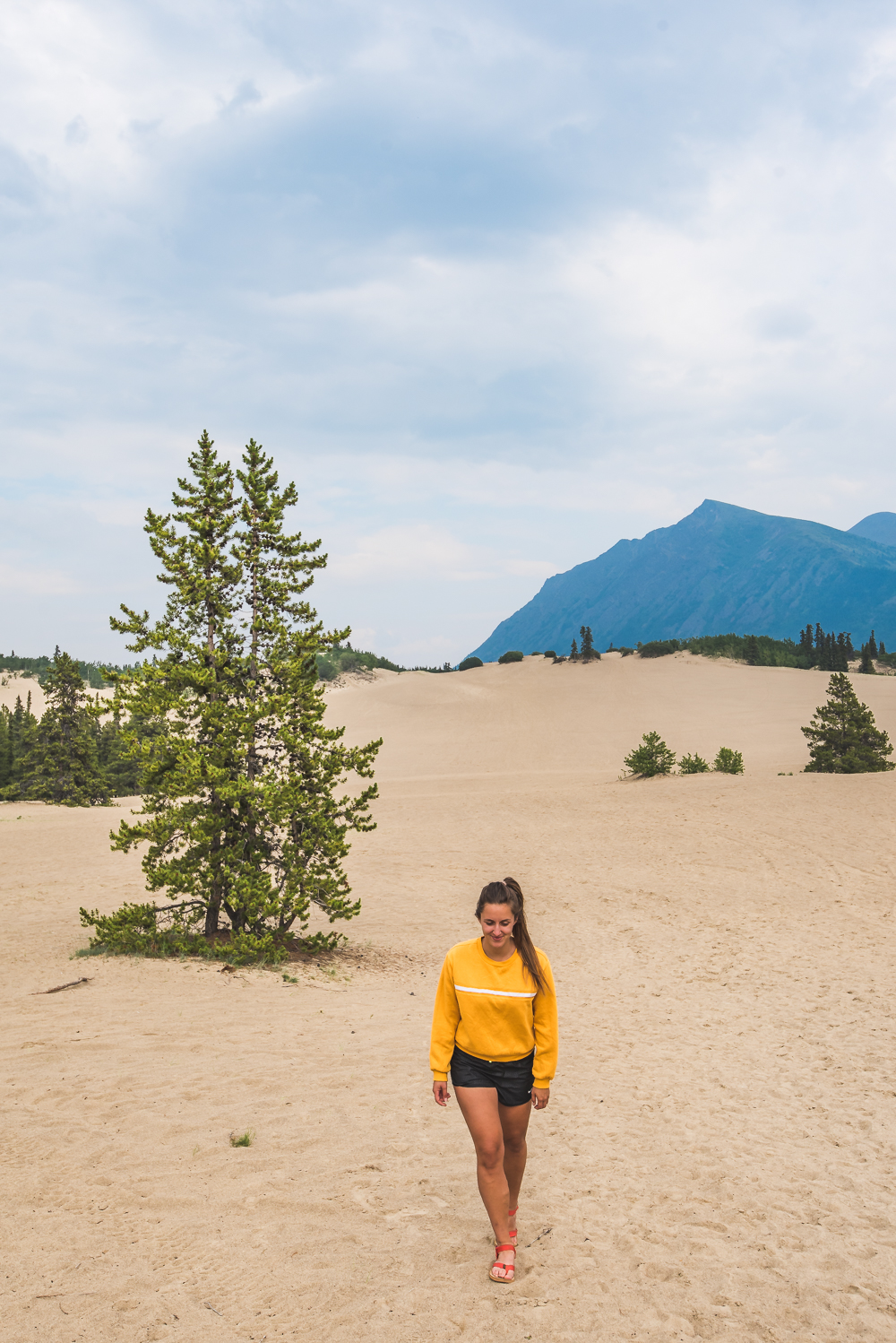 Yukon carcross desert kleinste woestijn-2