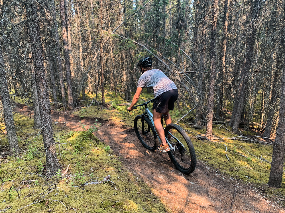 Yukon mountainbiken Carcross-2