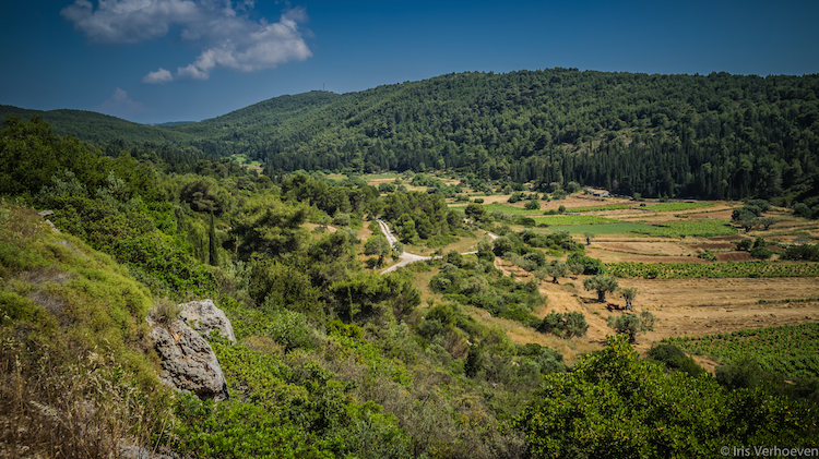 Zakynthos-landgoed-bezienswaardigheden