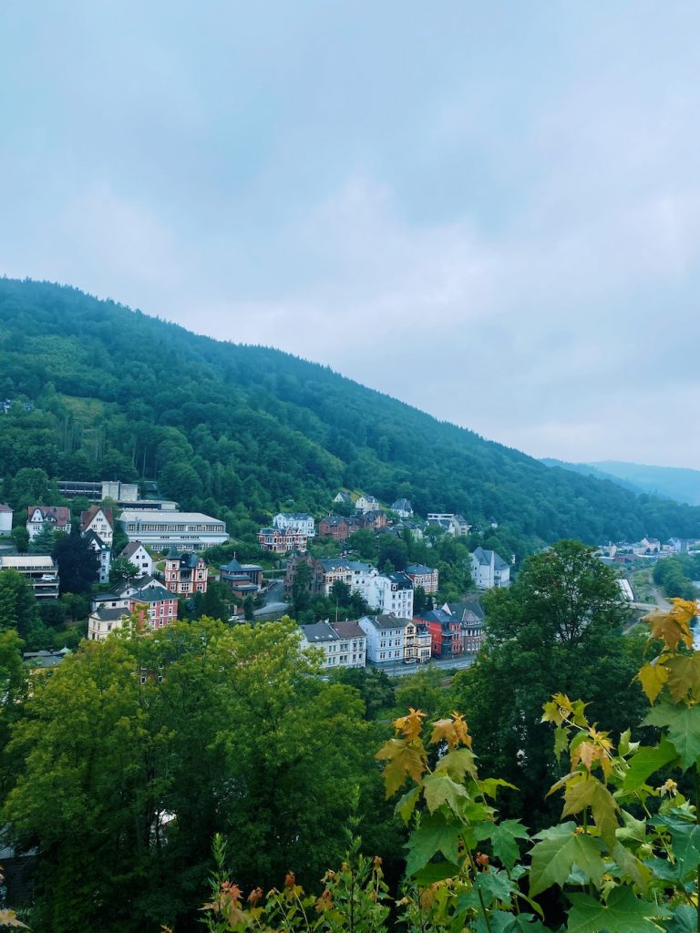 zomer in winterberg uitzicht