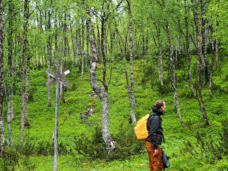 Zomer lapland hiken bij Ammernäs