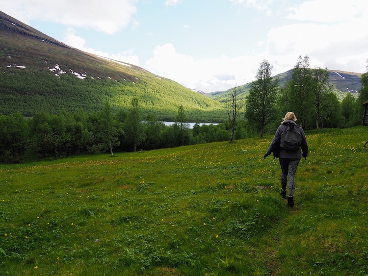 Zomer zweeds lapland hiken bij Ammernäs