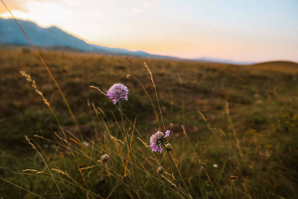 Zonsondergang bij Vrazje Jezero, durmitor