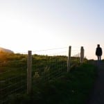 Zonsondergang bij de carrick-a-rede