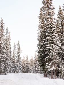 activiteiten-lapland-bevroren-waterval