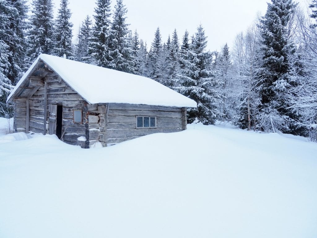 activiteiten lapland langlaufen lunch boshut