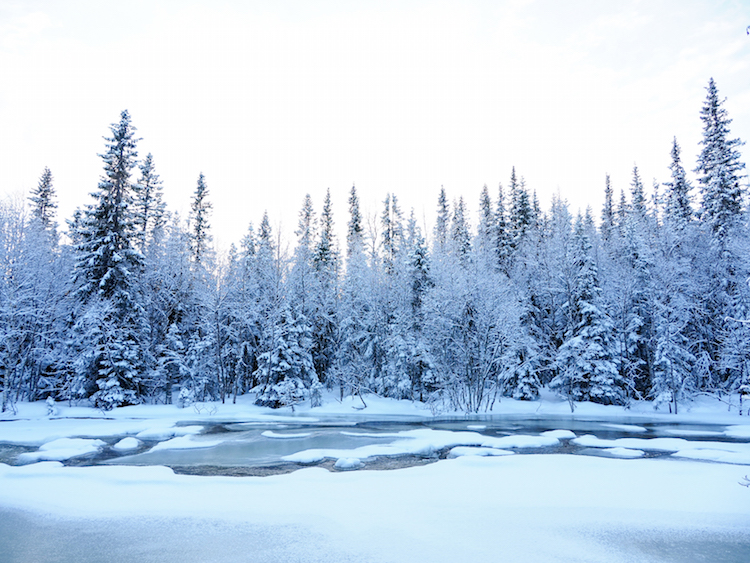 activiteiten lapland langlaufen