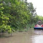 Everglades Alligator Farm airboat