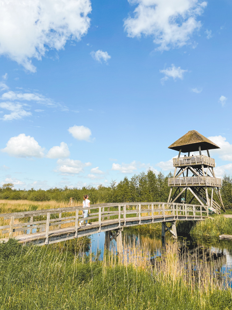 alde feanen uitkijktoren romsicht