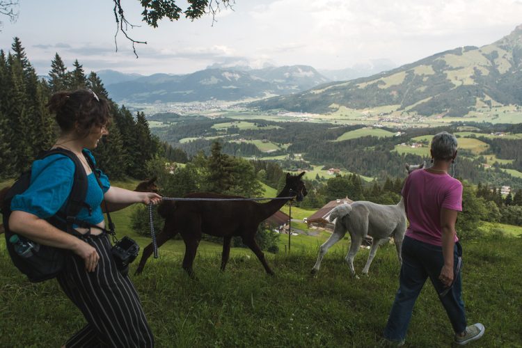 alpaca wandeling Kitzbuhel oostenrijk