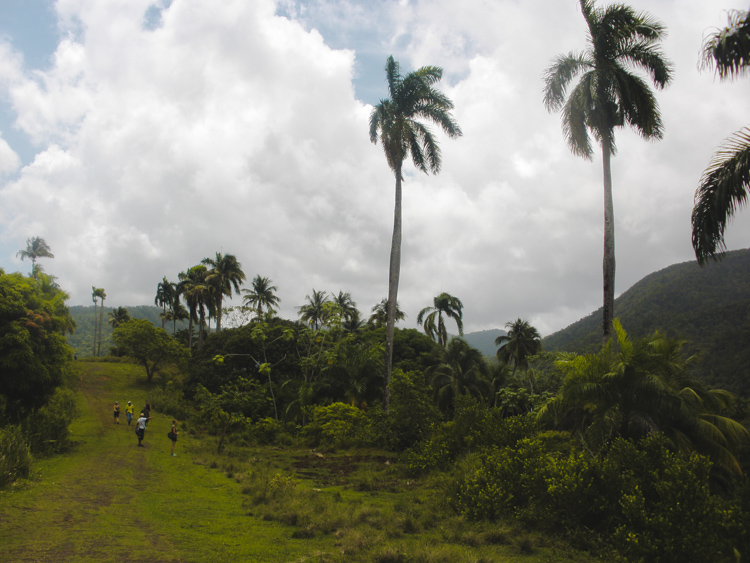 backpacken cuba jungle