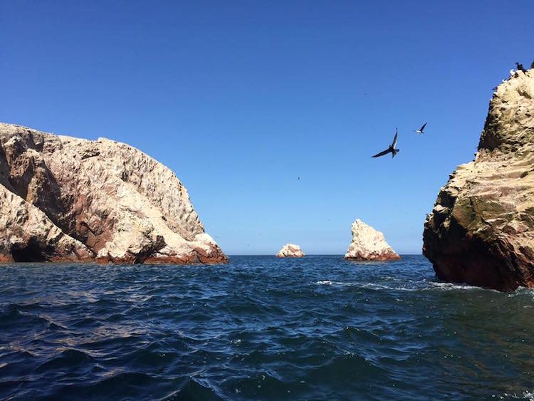 backpacken peru bolivia chili isla_ballestas_paracas