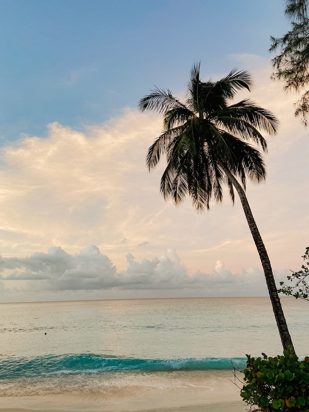 beach barbados