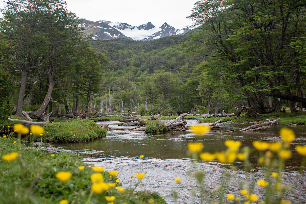 begin Glaciar Vinciguerra