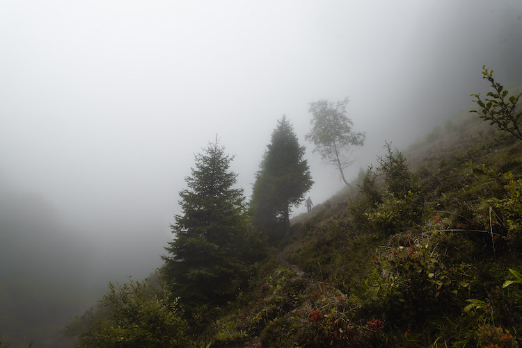 bergen in montafon mistig