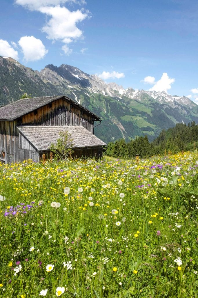 berghuisje zomervakantie oostenrijk achensee vorarlberg