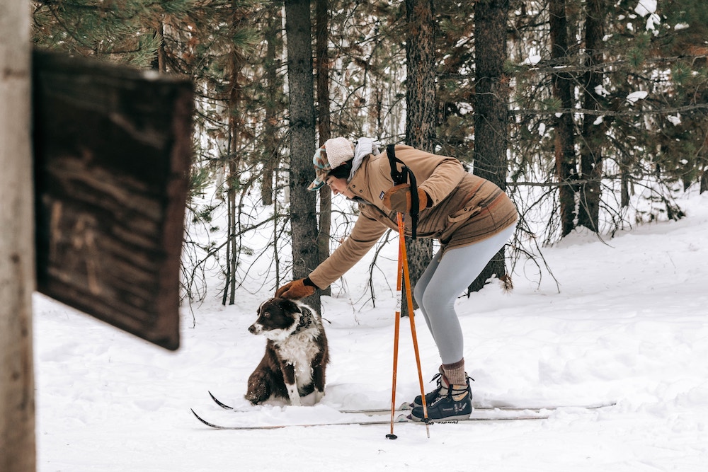 beste skigebieden voor beginners