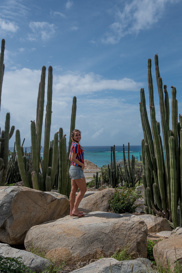 bezienswaardigheden Aruba Baby beach-3