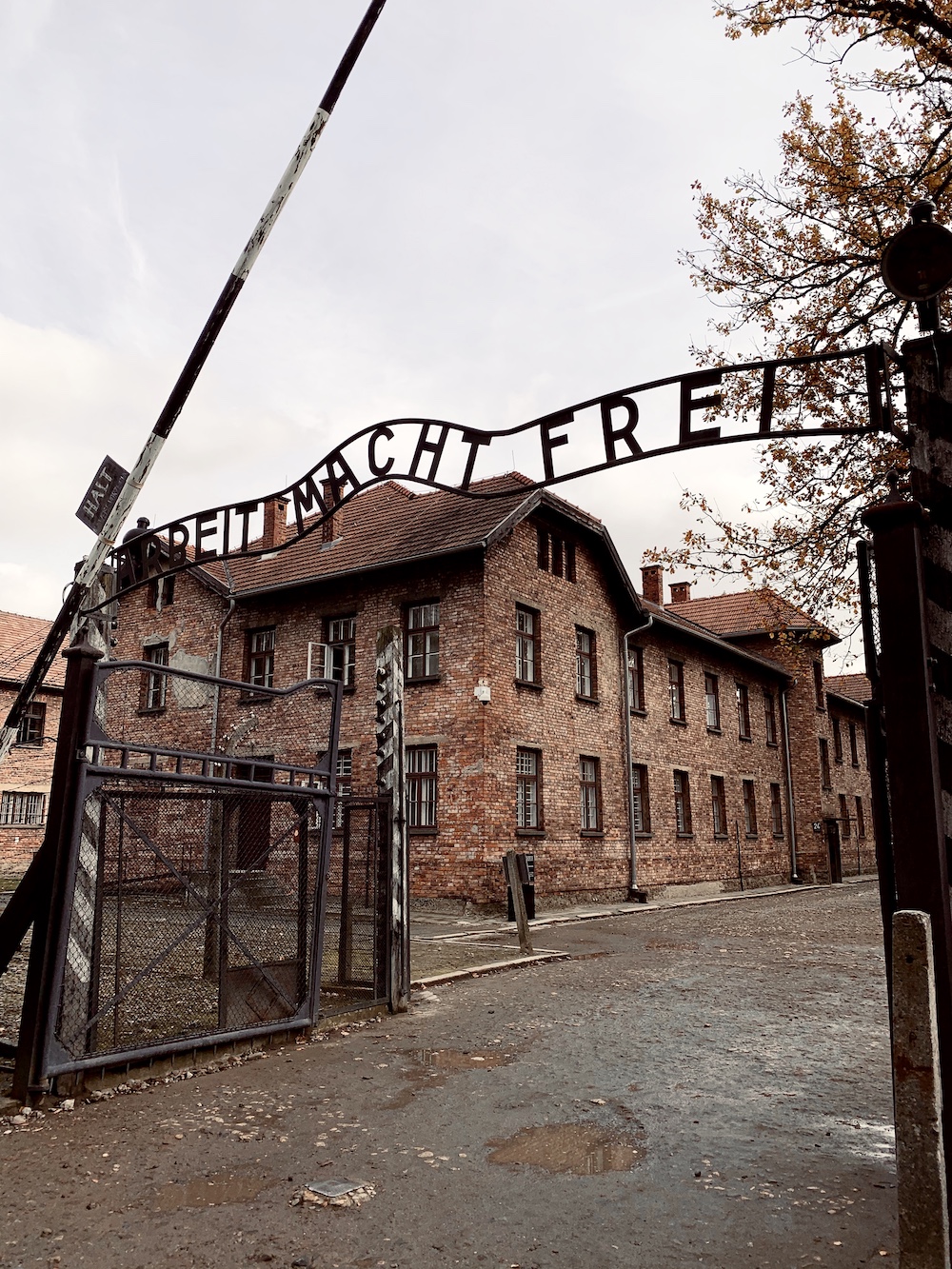 bezienswaardigheden krakau auschwitz