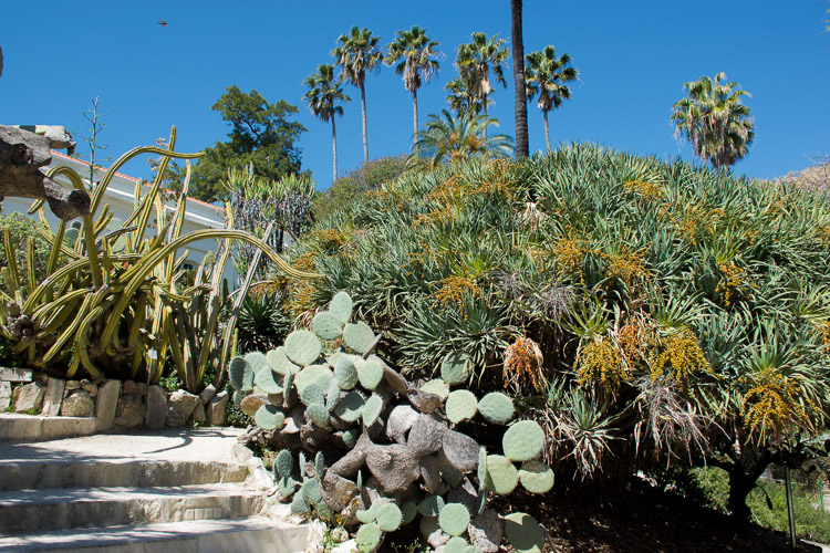 bezienswaardigheden lissabon tuin botanical garden