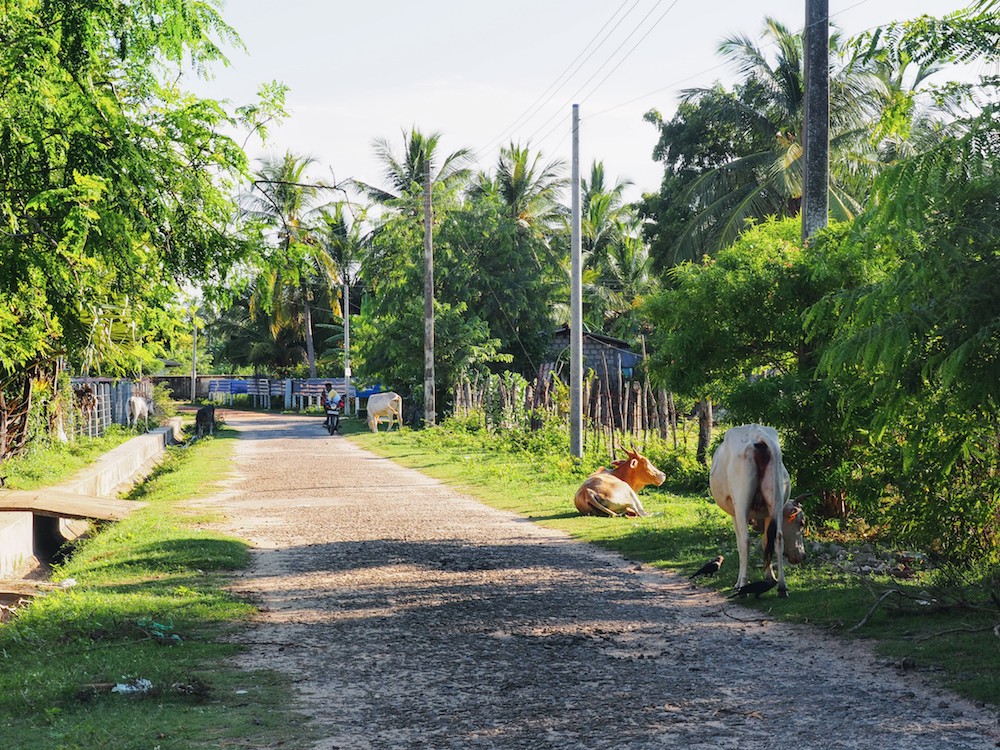 binnenland-Nilaveli-hidden-places-sri-lanka