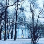 bomen sint peterusburg rusland