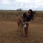 bonaire-donkey-sancturary-4