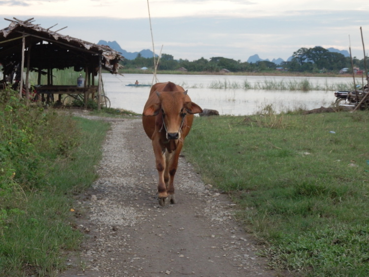 koe hpa-an