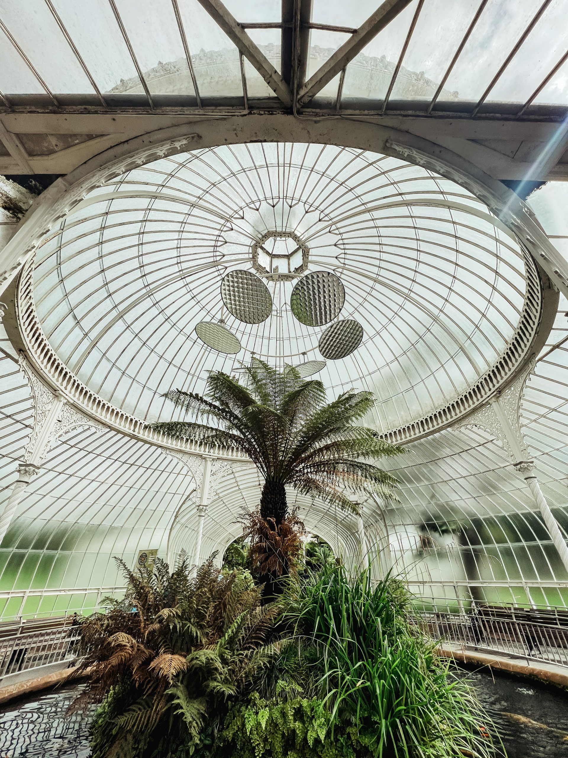 botanische tuinen glasgow bezienswaardigheden