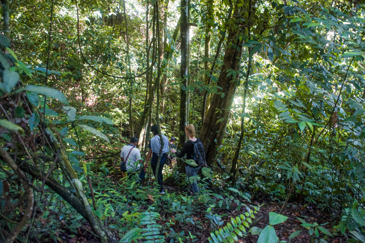 bukit lawang wandeling sumatra