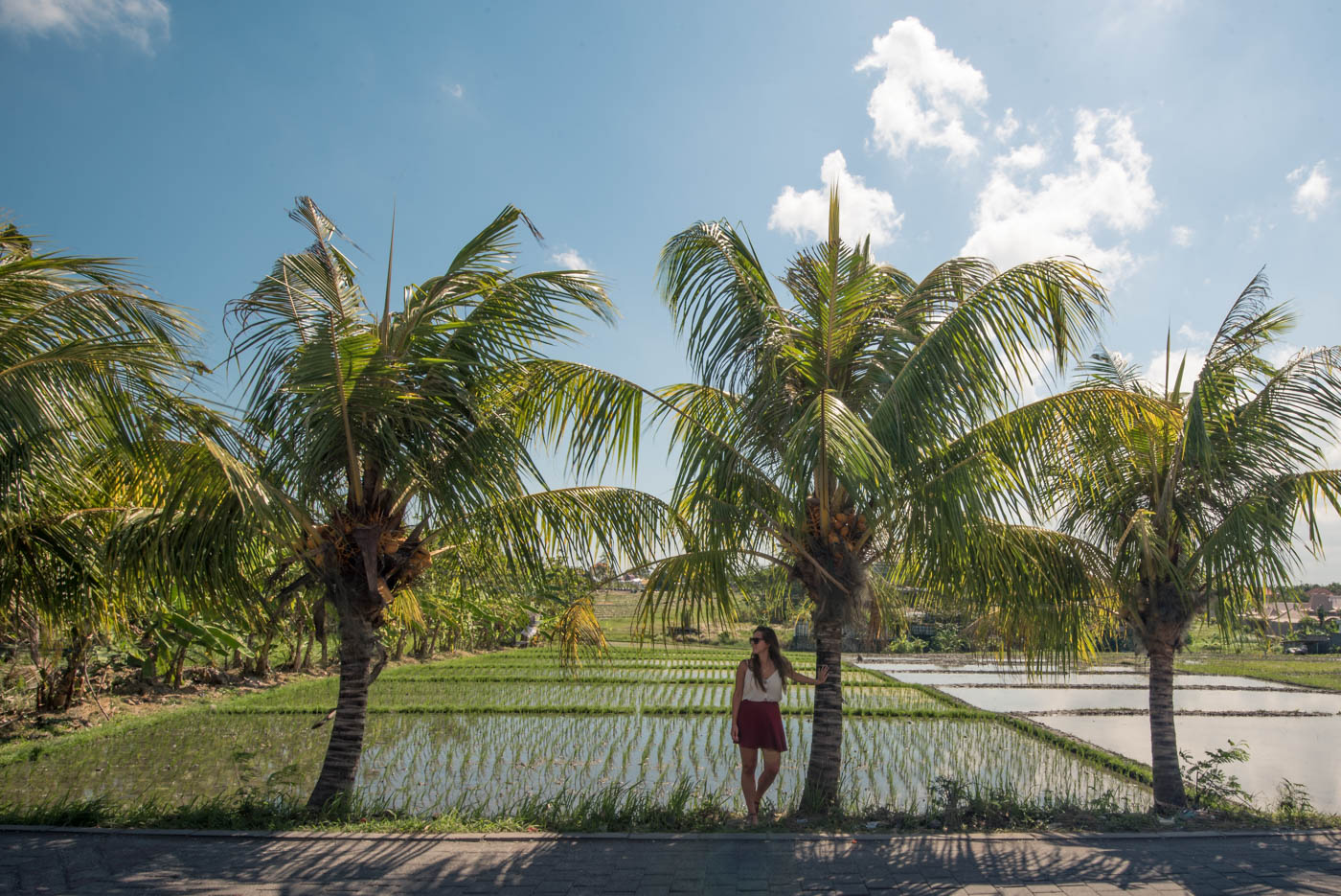 canggu bali rijstvelden