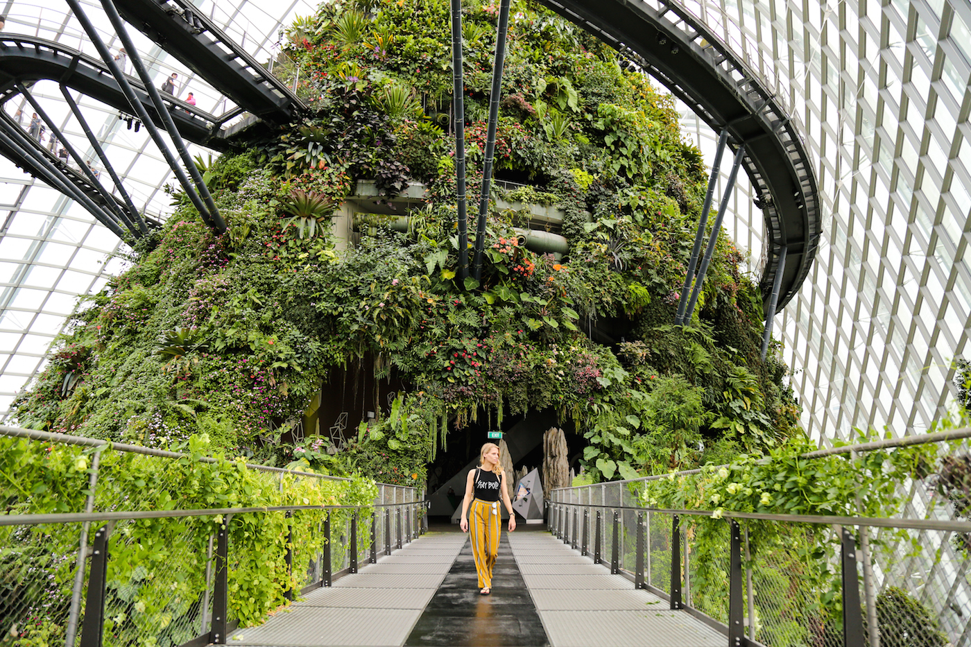 cloud forest singapore