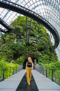 cloud forest singapore