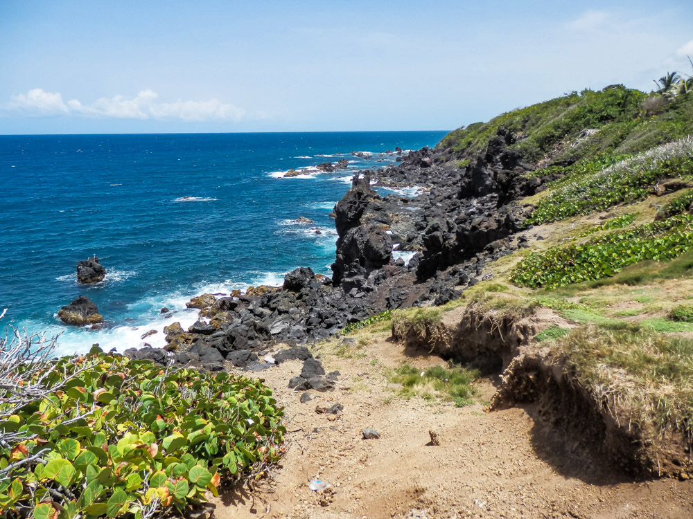 cruise in het Caribisch gebied st kitts