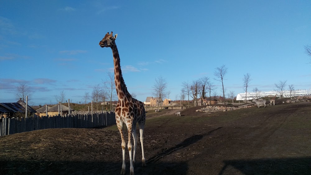 doen in drenthe met kinderen