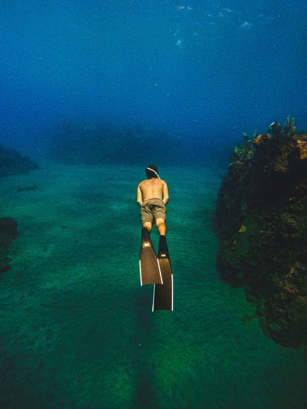 Snorkling dominica